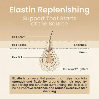 Kehyla Beauty - Eyebrow Growth Serum